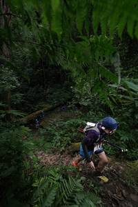 BIB: 
                            <button type="button" onclick="openModal(16033128)" class="btn btn-primary btn-sm float-right btn-popup" data-toggle="modal" data-target=".modal-high-quality">
                        <i class="fas fa-shopping-cart"></i> Add to Cart
                    </button>
                                            <button type="button" onclick="isThisMe(16033128, true)" class="btn btn-success btn-sm float-right btn-popup btn-isme hidden" data-toggle="tooltip" data-placement="bottom" title="นี่คือรูปของคุณใช่ไหม คลิกที่นี่เพื่อเอาเข้าอัลบั้ม">
                        <i class="fas fa-plus"></i> Add to album
                    </button>
                    <button type="button" onclick="isThisMe(16033128, false)" class="btn btn-warning btn-sm float-right btn-popup btn-isnotme hidden">
                        <i class="fas fa-ban"></i> Remove from album
                    </button>